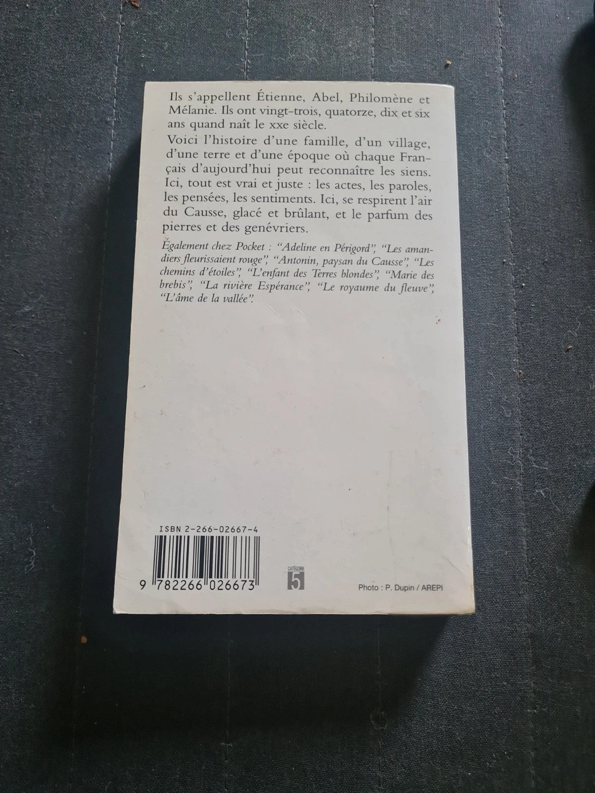 Le Pays Bleu Tome 1 : Les Cailloux Bleus, Christian Signol