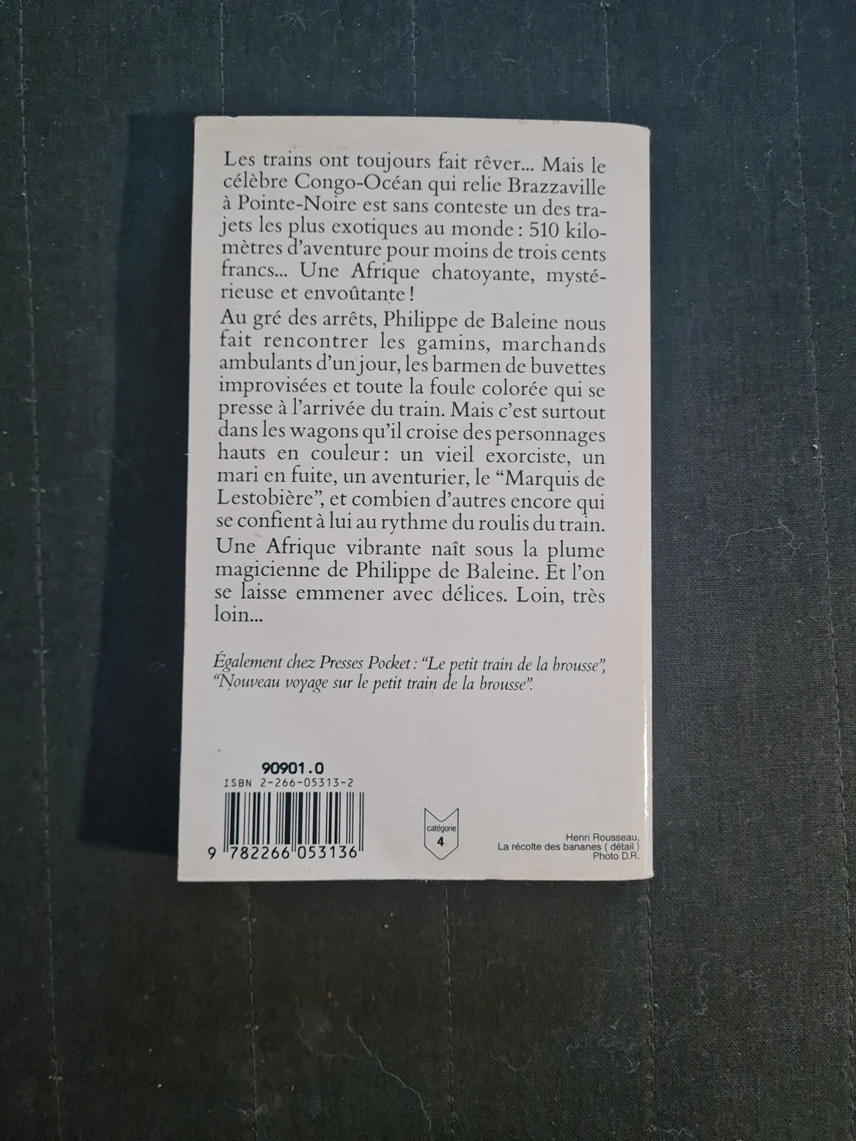 Voyage espiègle et romanesque sur le petit train du Congo