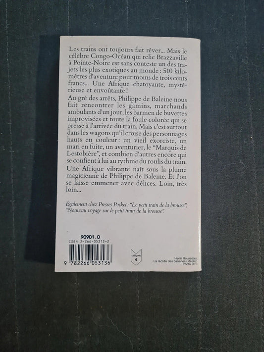 Voyage espiègle et romanesque sur le petit train du Congo