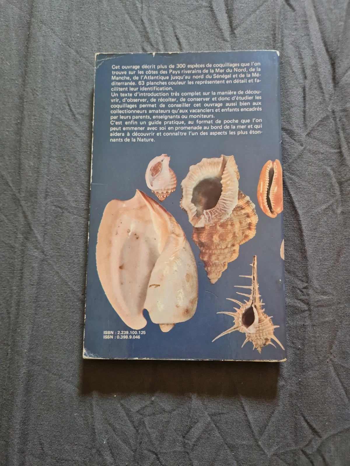 Je découvre les coquillages , côtés européennes et méditerranée