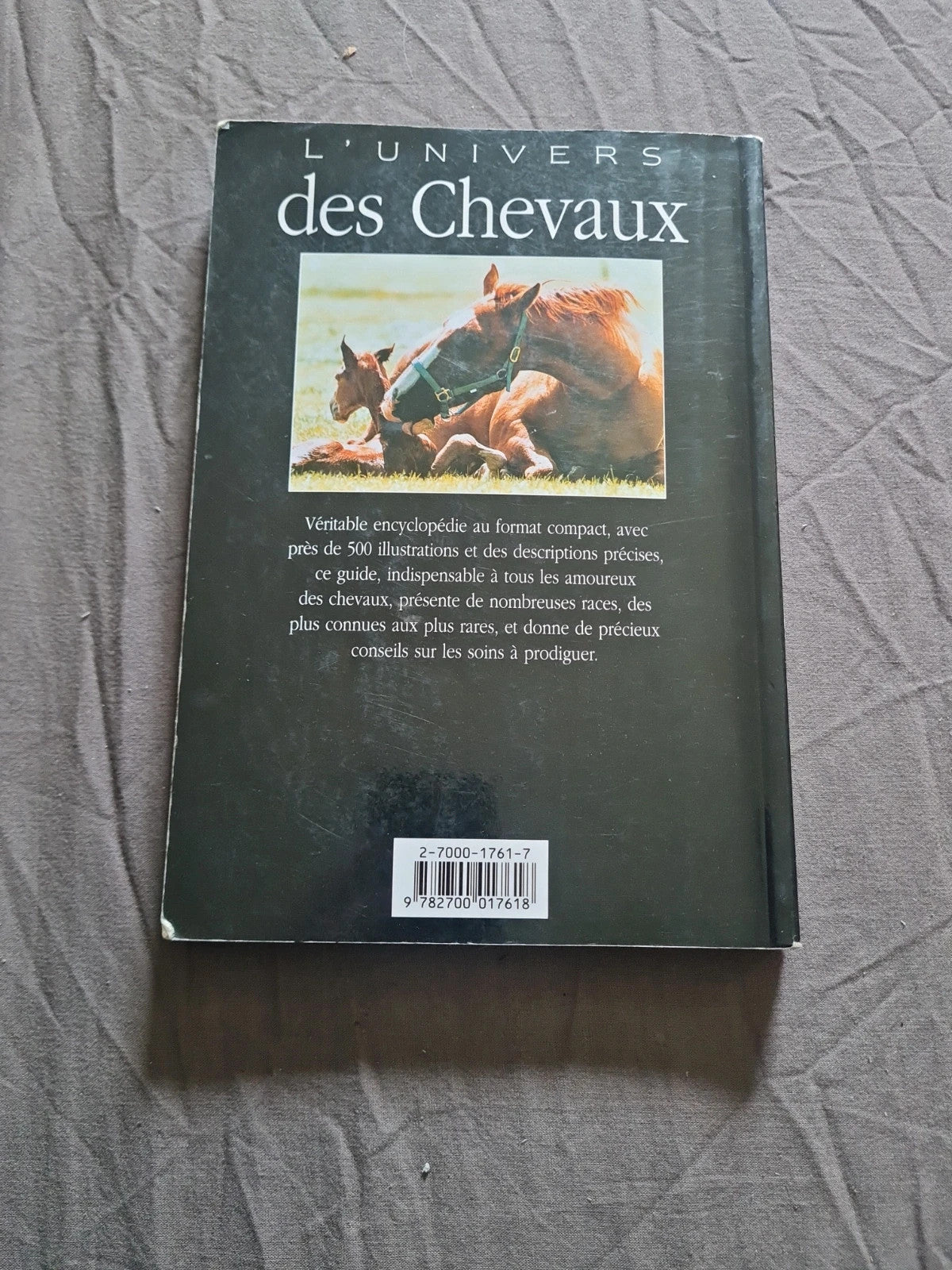 L'Univers des chevaux, josee hermsen, claire lefebvre