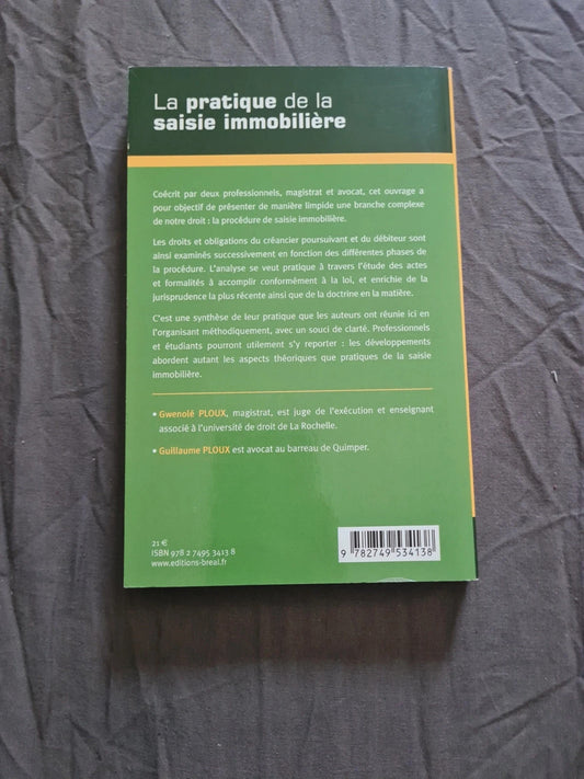 La Pratique De La Saisie Immobilière - Ploux Gwenolé et Guillaume