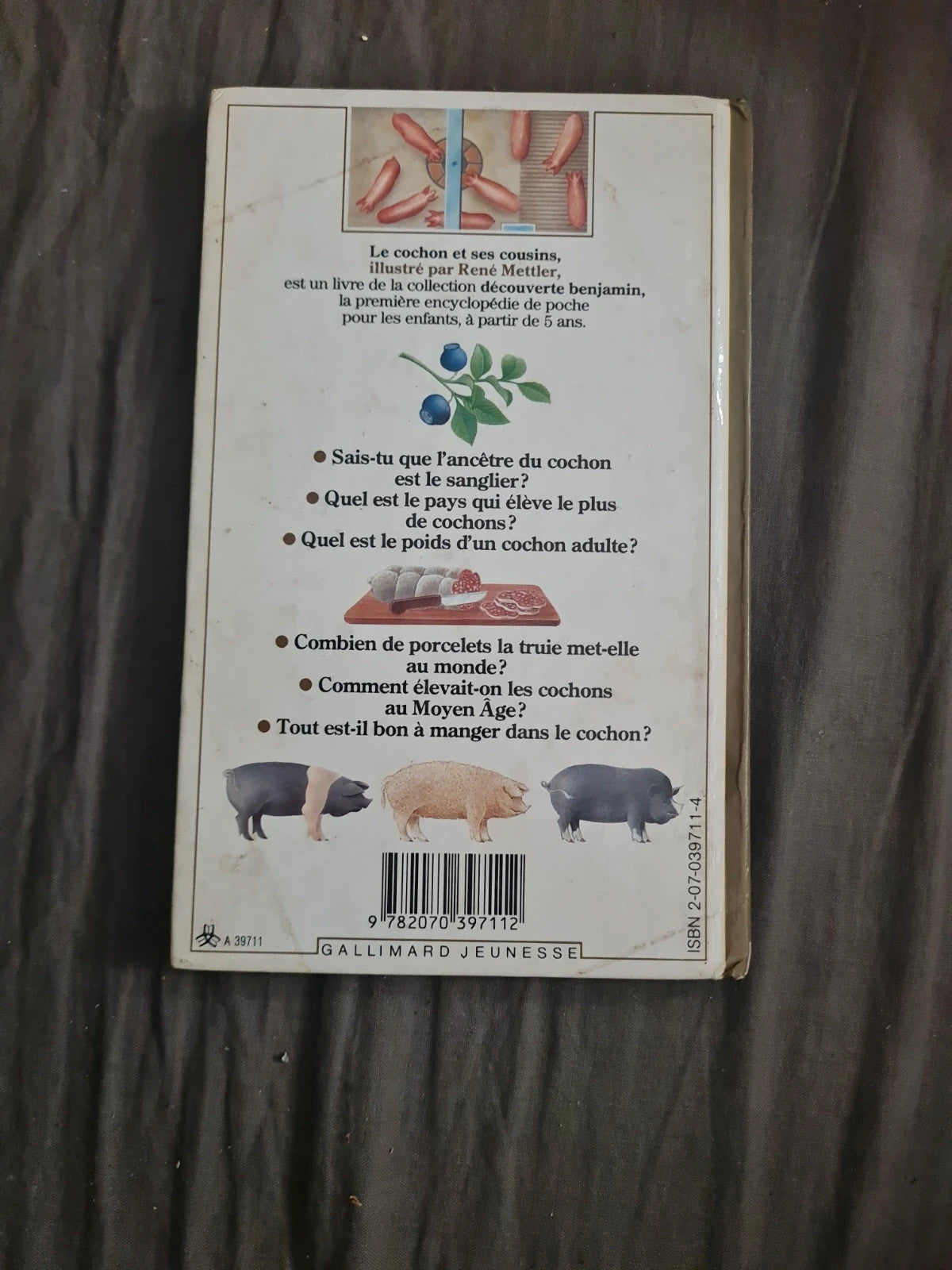 Le cochon et ses cousins