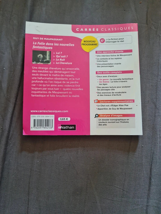 La folie des nouvelles fantastique, Guy de Maupassant