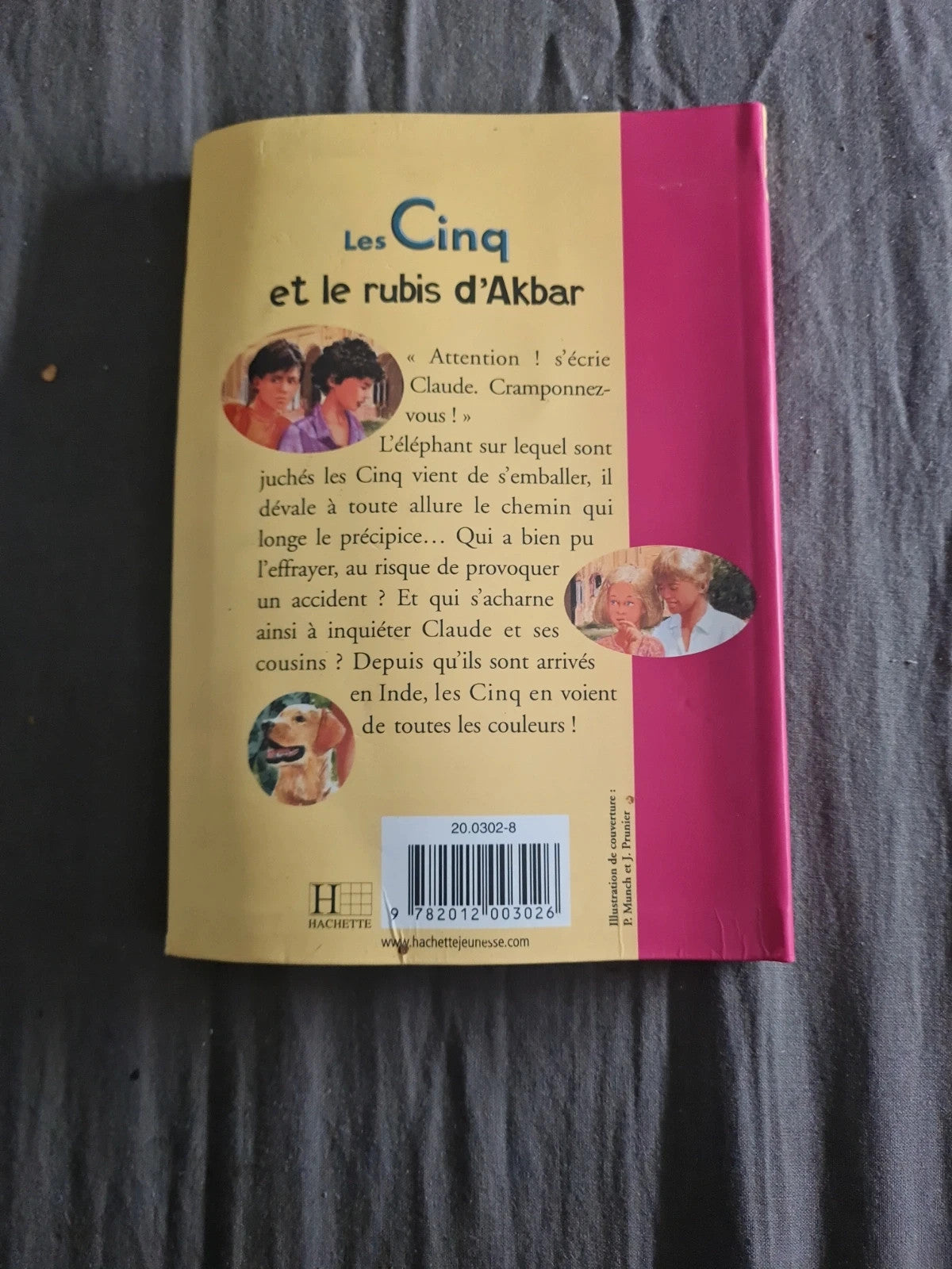 Les cinq et le rubis d'Akbar