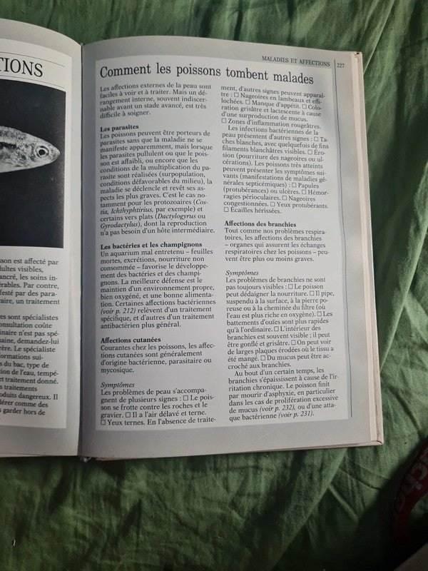 Vous et votre aquarium,  comment entretenir votre aquarium