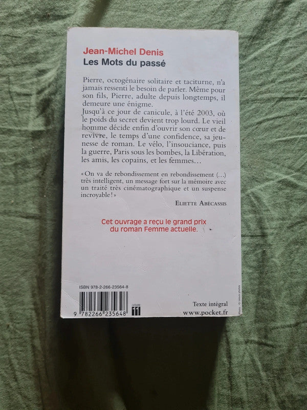 Les mots du passé, Jean Michel Denis