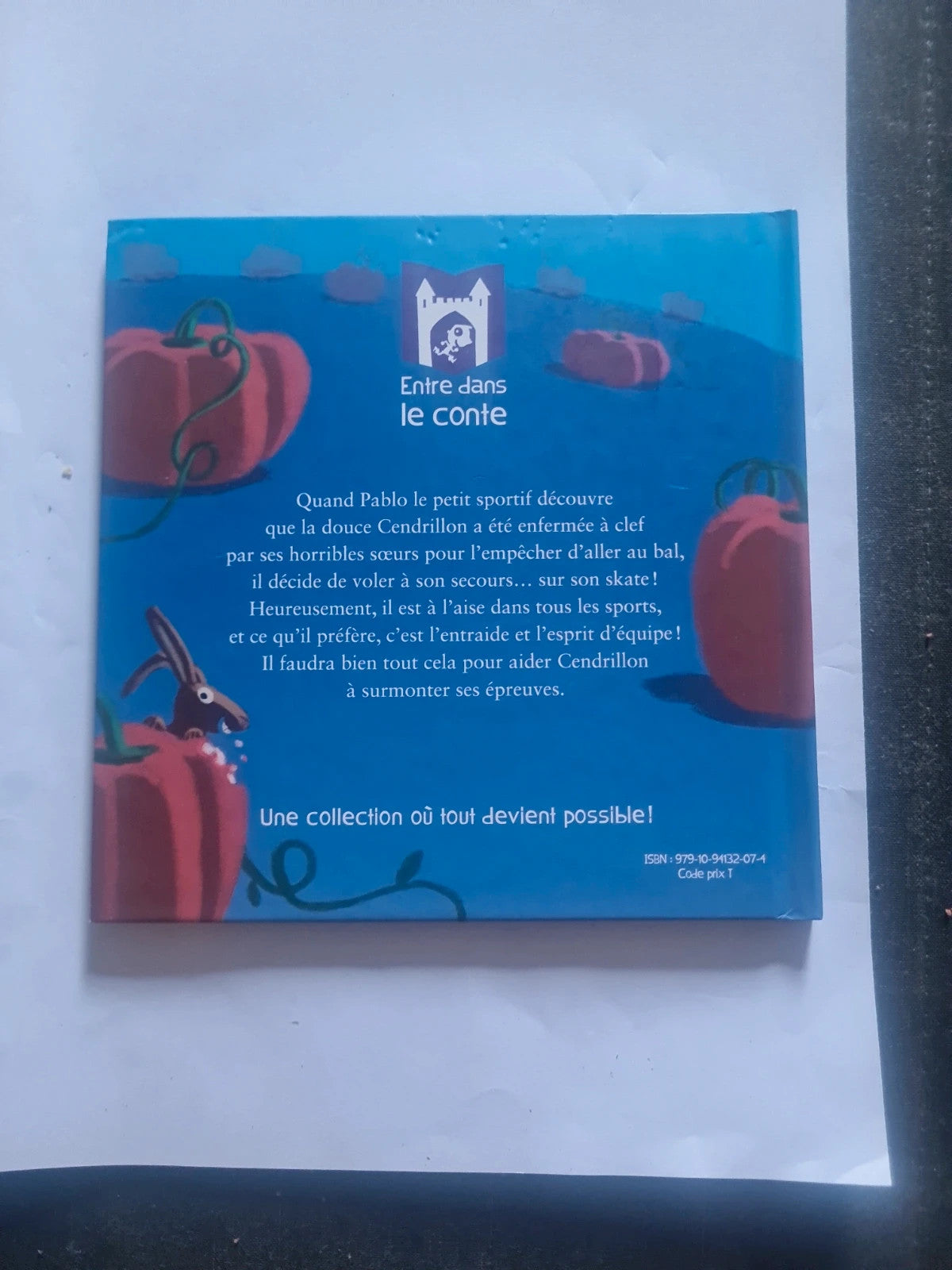 Tiens bon cendrillon , Alexandre Jardin, Hervé le Goff