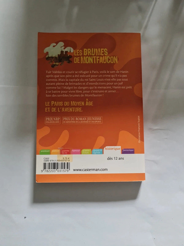 Les brumes de Montfaucon , Anne Pouget