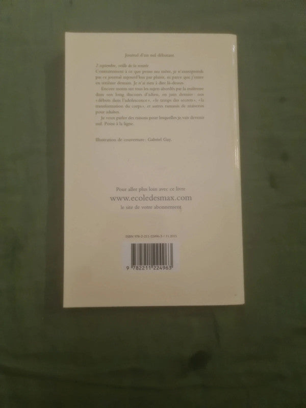 Journal d'un nul débutant , Luc Blanvillain