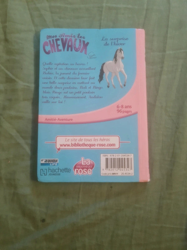 Mes amis les chevaux, la surprise de l'hiver