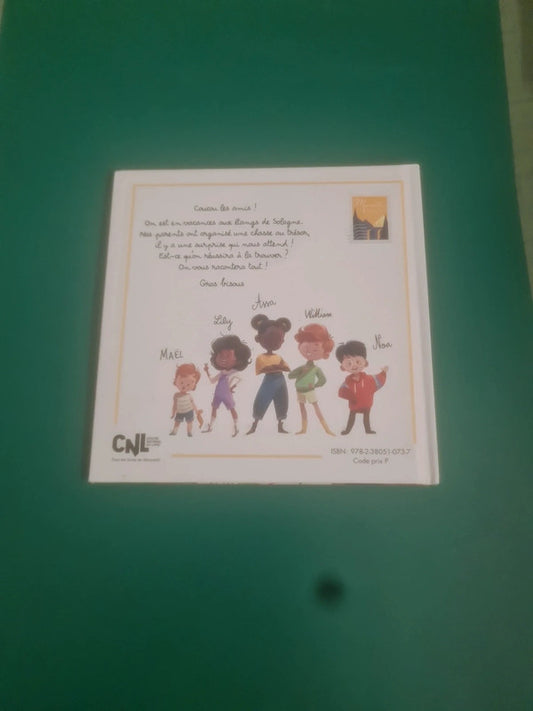 Chasse au trésor en Sologne, Virginie Grimaldi , Marina Coudray