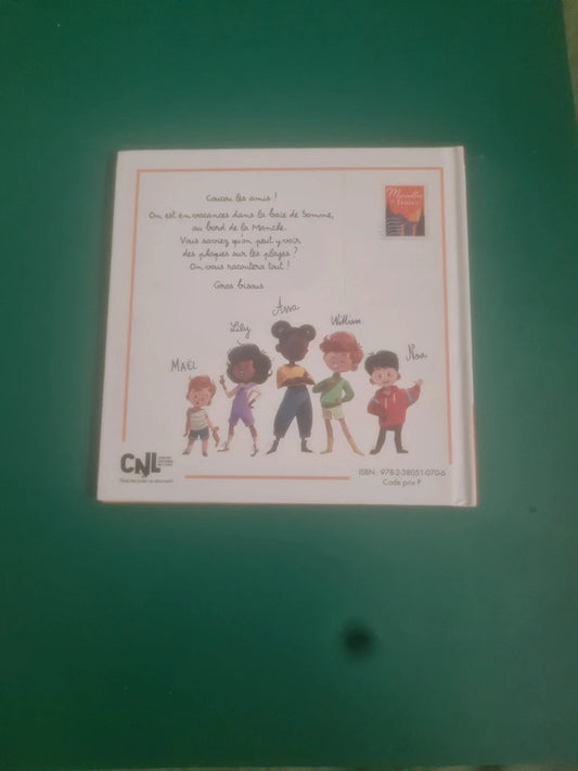 Petit tour en baie de Somme, Virginie Grimaldi , Flavie Pichot