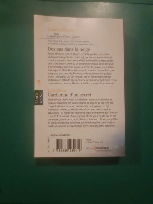 Joanna Wayne : Des pas dans la neige , Lyn Stone
Gardienne d'un secret
