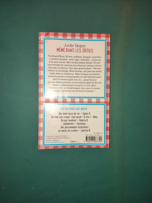 mémé dans les orties , Aurélie Valognes