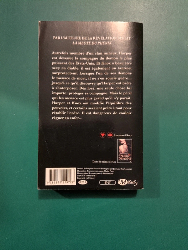 Noirs demons Tome 2 à feu et à sang, Suzanne Wright