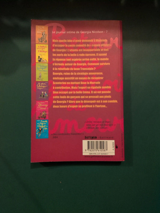 Retour à la case égouttoir de l'amour, Le journal intime de Georgia Nicolson T7 , Louise Rennison
