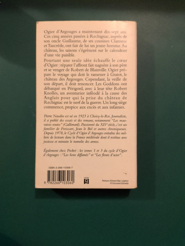 Cycle d'Ogier d'argouges T2 le granit et le feu, Pierre Naudin
