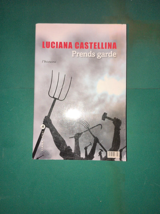 Prends garde - le roman - l'histoire : Milena Agus