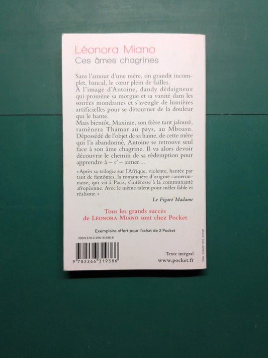 Ces âmes chagrines , Léonora Miano