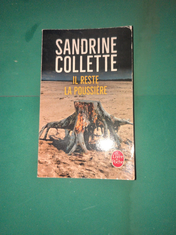 il reste la poussiere , Sandrine Collette