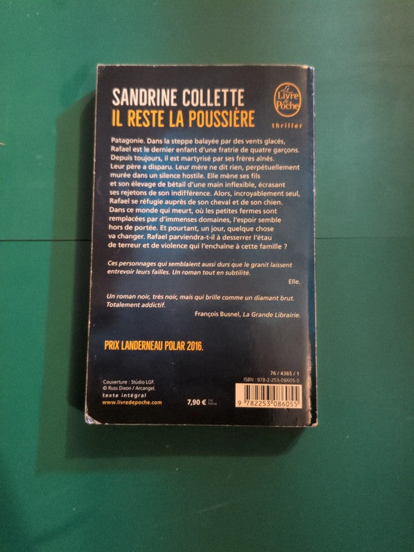 il reste la poussiere , Sandrine Collette