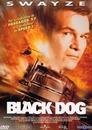 Black Dog,