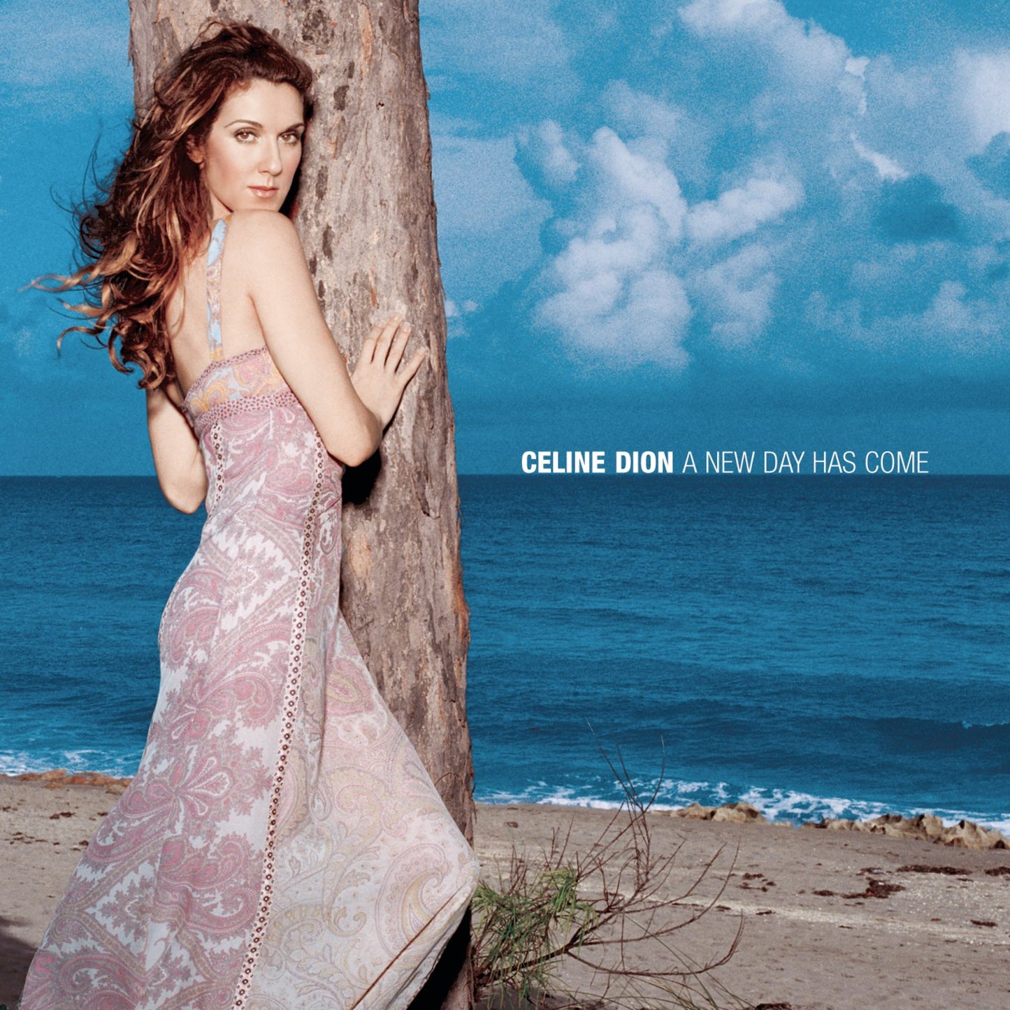 New Day Has Come, Celine Dion