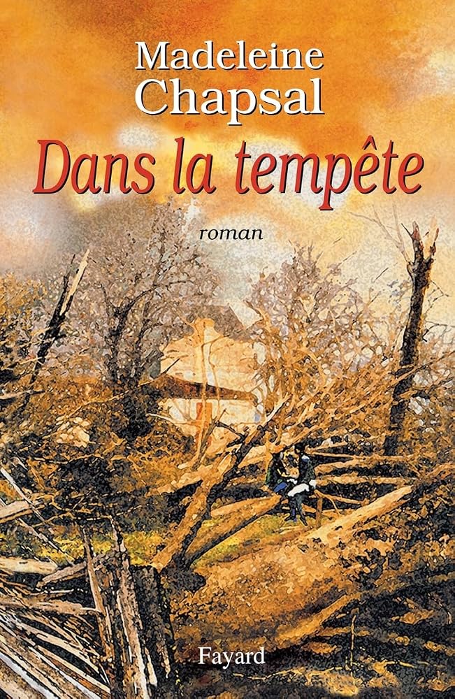 Dans la tempête cover image