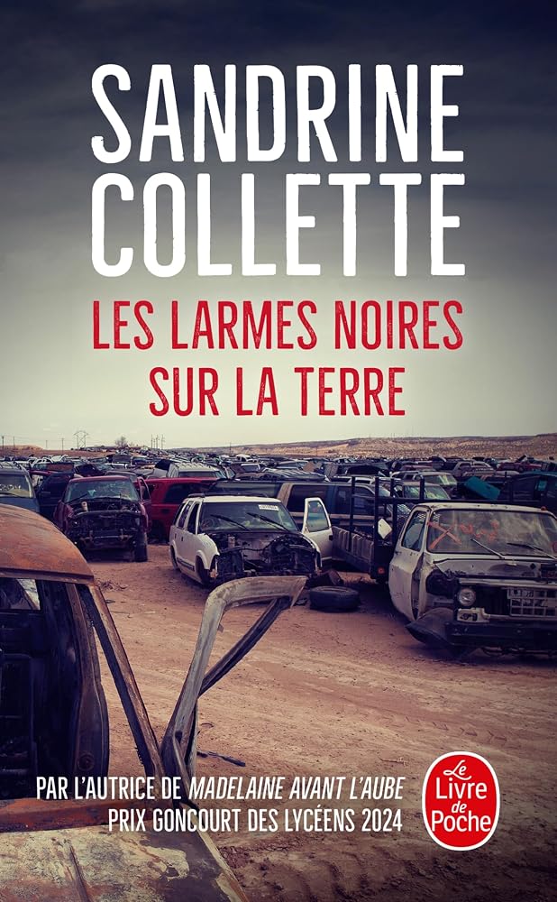Les Larmes noires sur la terre cover image