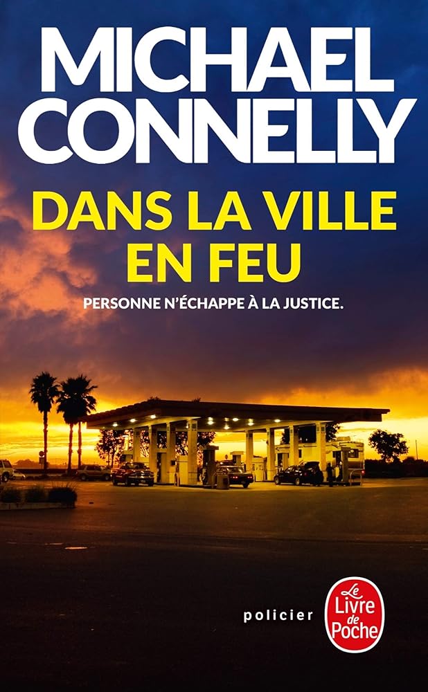 Dans la ville en feu cover image
