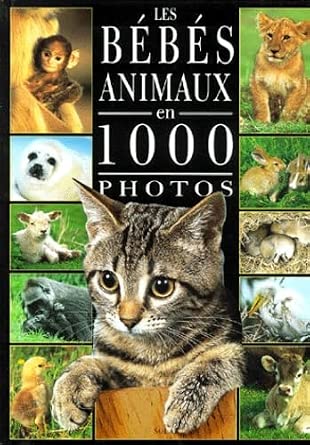 Bébé animaux 1000 photos cover image