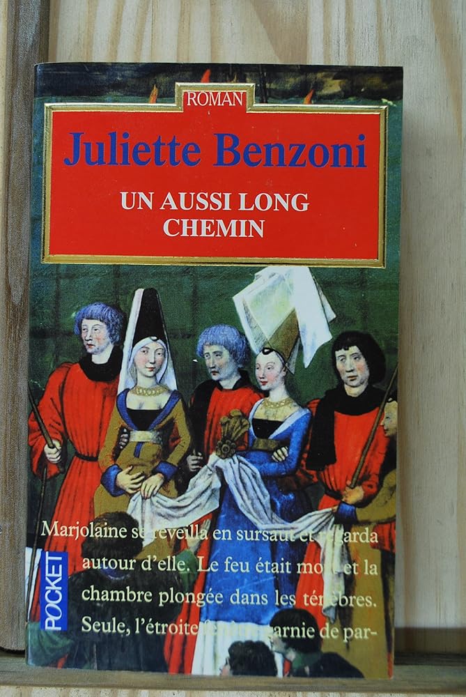 AUSSI LONG CHEMIN cover image