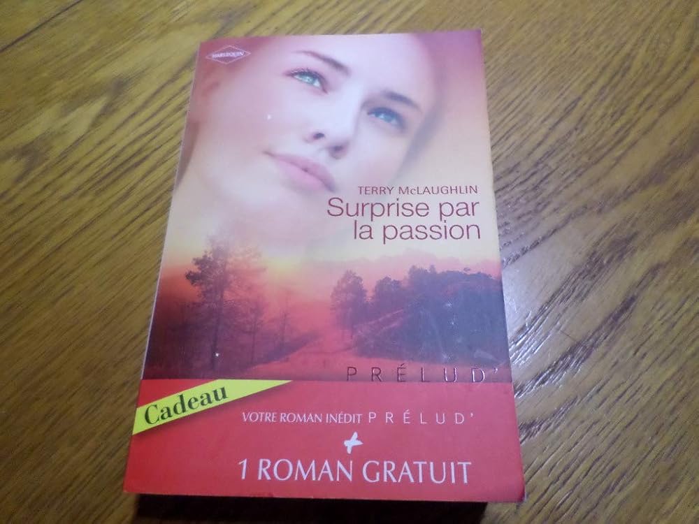 Surprise par la passion ; L'enfant de l'autre cover image