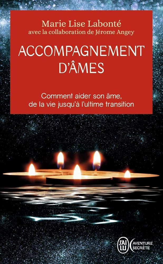 Accompagnement d'âmes: Comment aider son âme, de la vie jusqu'à l'ultime transition cover image
