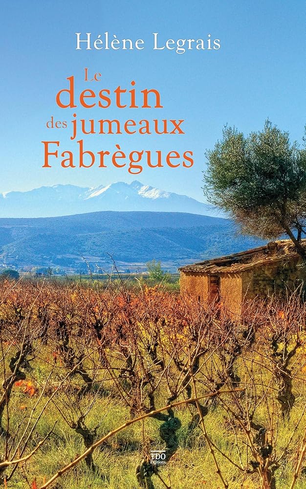Le destin des jumeaux Fabrègues cover image