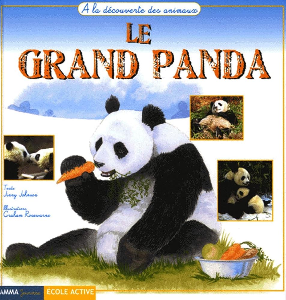 Le grand panda cover image