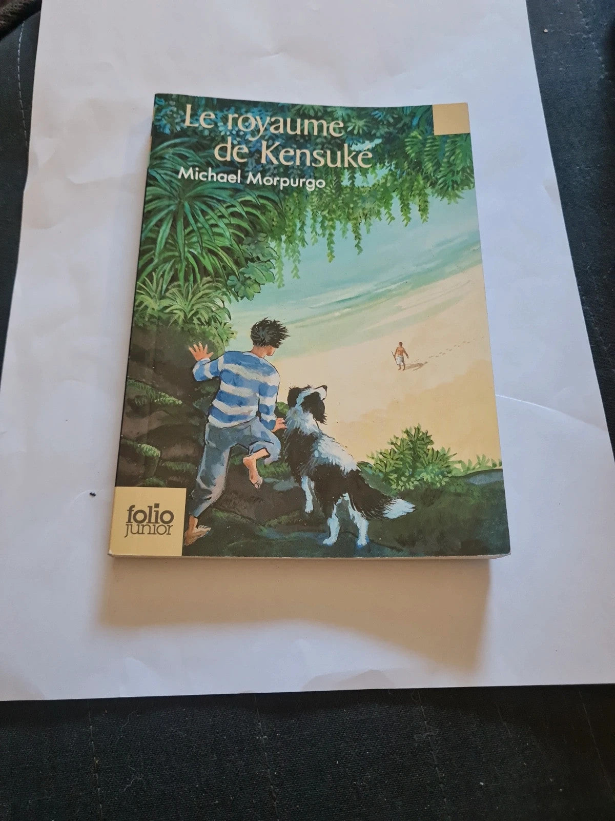 Le Royaume De Kensuké - Michael Morpurgo