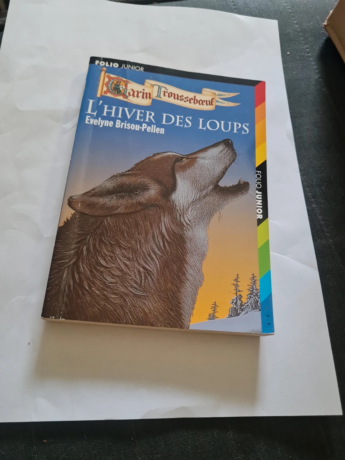 L'hiver des loups , Evelyne Brisou-Pellen