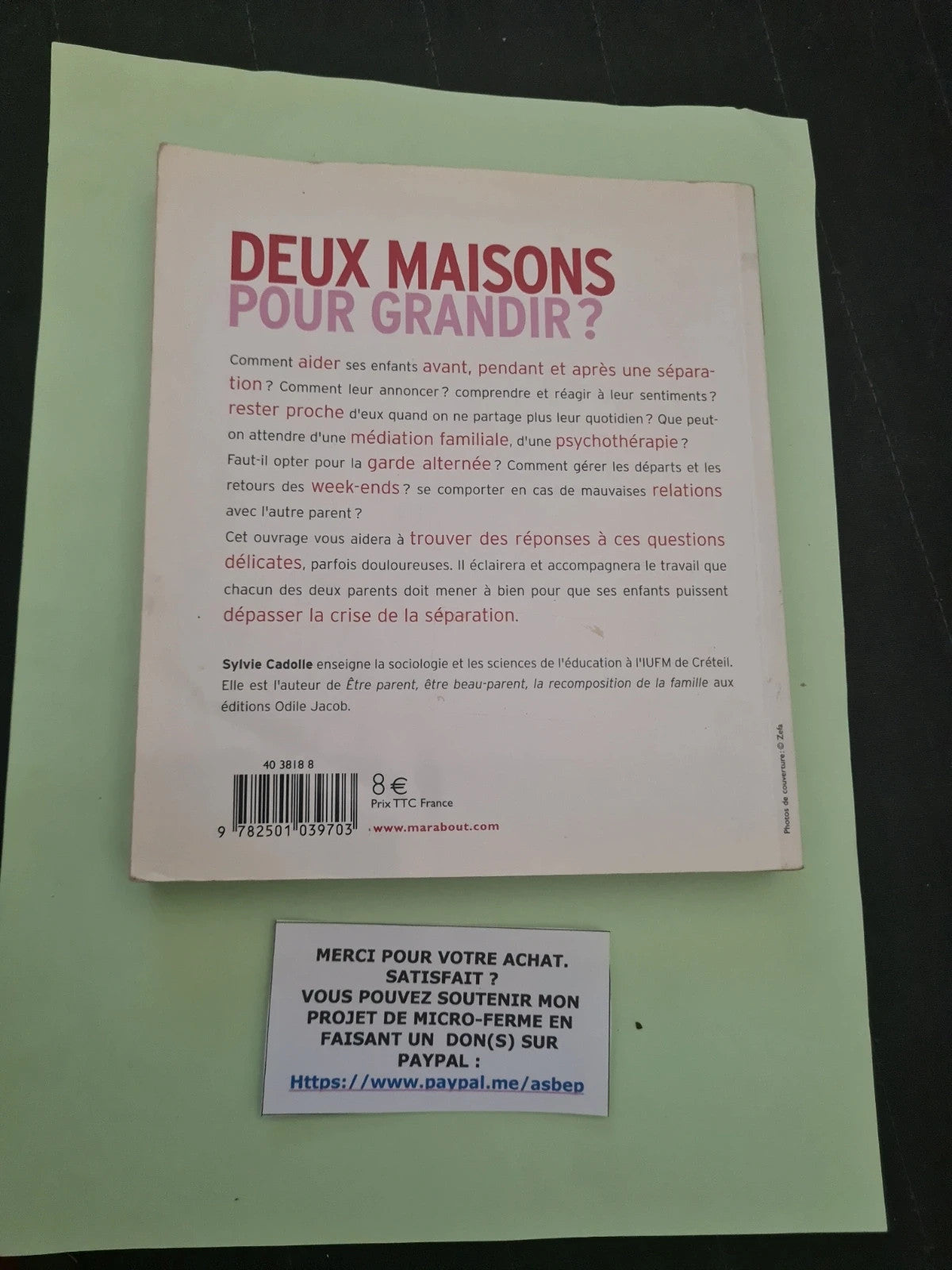 Deux Maisons Pour Grandir ? - Se Séparer Quand On A Des Enfants - Sylvie Cadolle