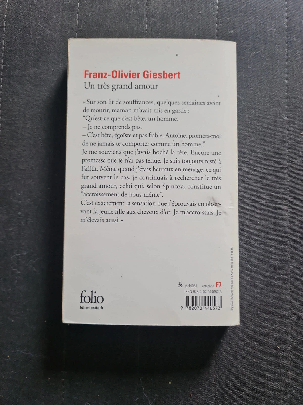 Un Très Grand Amour - Franz-Olivier Giesbert - Folio 5221