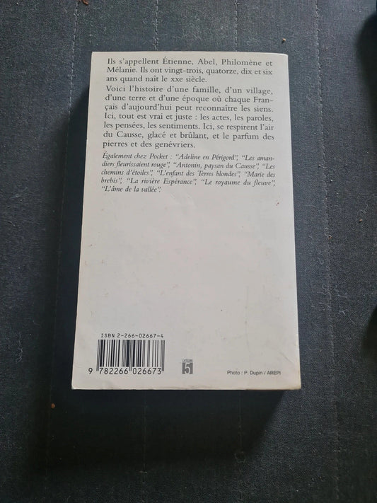 Le Pays Bleu Tome 1 : Les Cailloux Bleus, Christian Signol