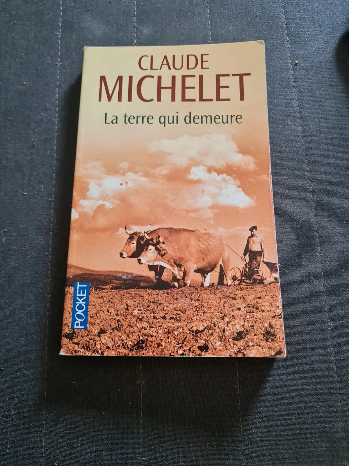 La Terre Qui Demeure - claude michelet