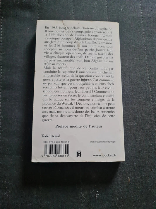 Un Capitaine Sans Importance - Patrice Franceschi