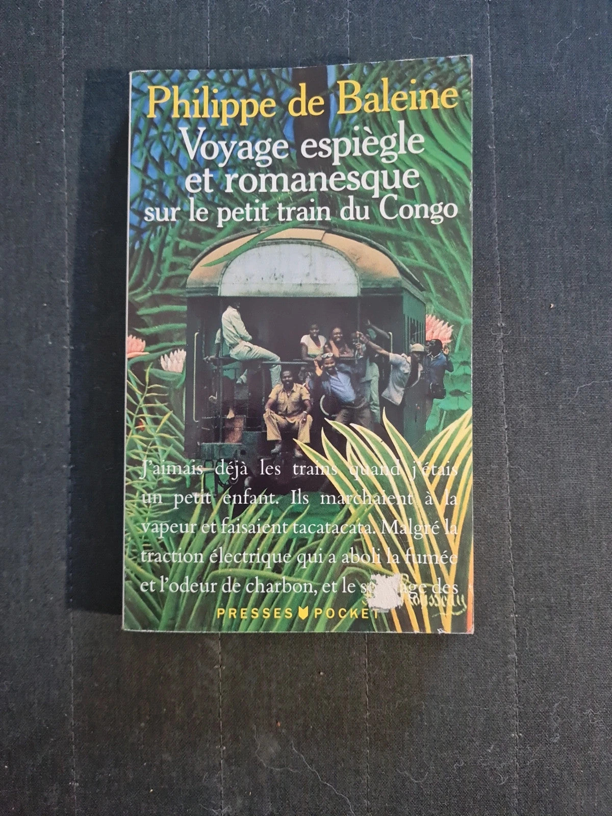 Voyage espiègle et romanesque sur le petit train du Congo