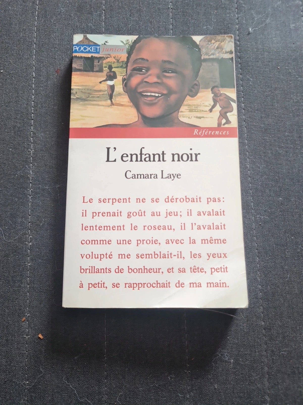Le Temps des sorciers l'enfant noir , Camara Laye