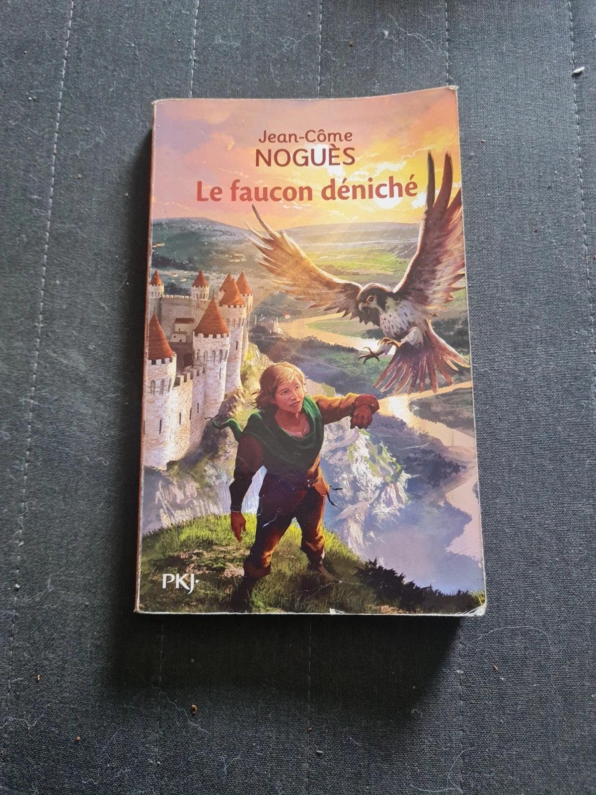 Le Faucon Déniché - Jean-Côme Noguès - PKJ J943