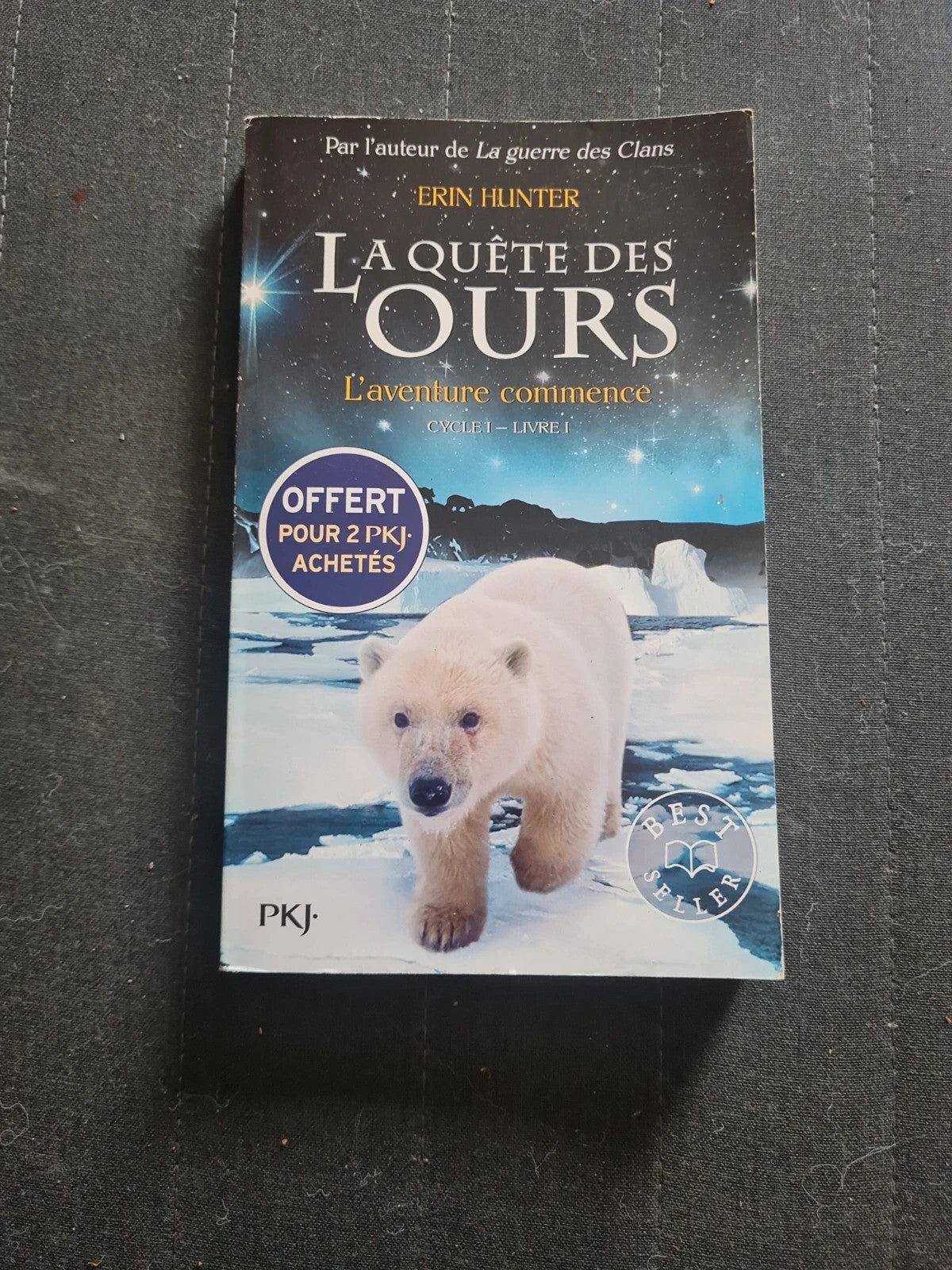 La quête des ours. L'aventure commence Cycle 1 - Livre 1 (Best Seller) - Erin Hunter - PKJ