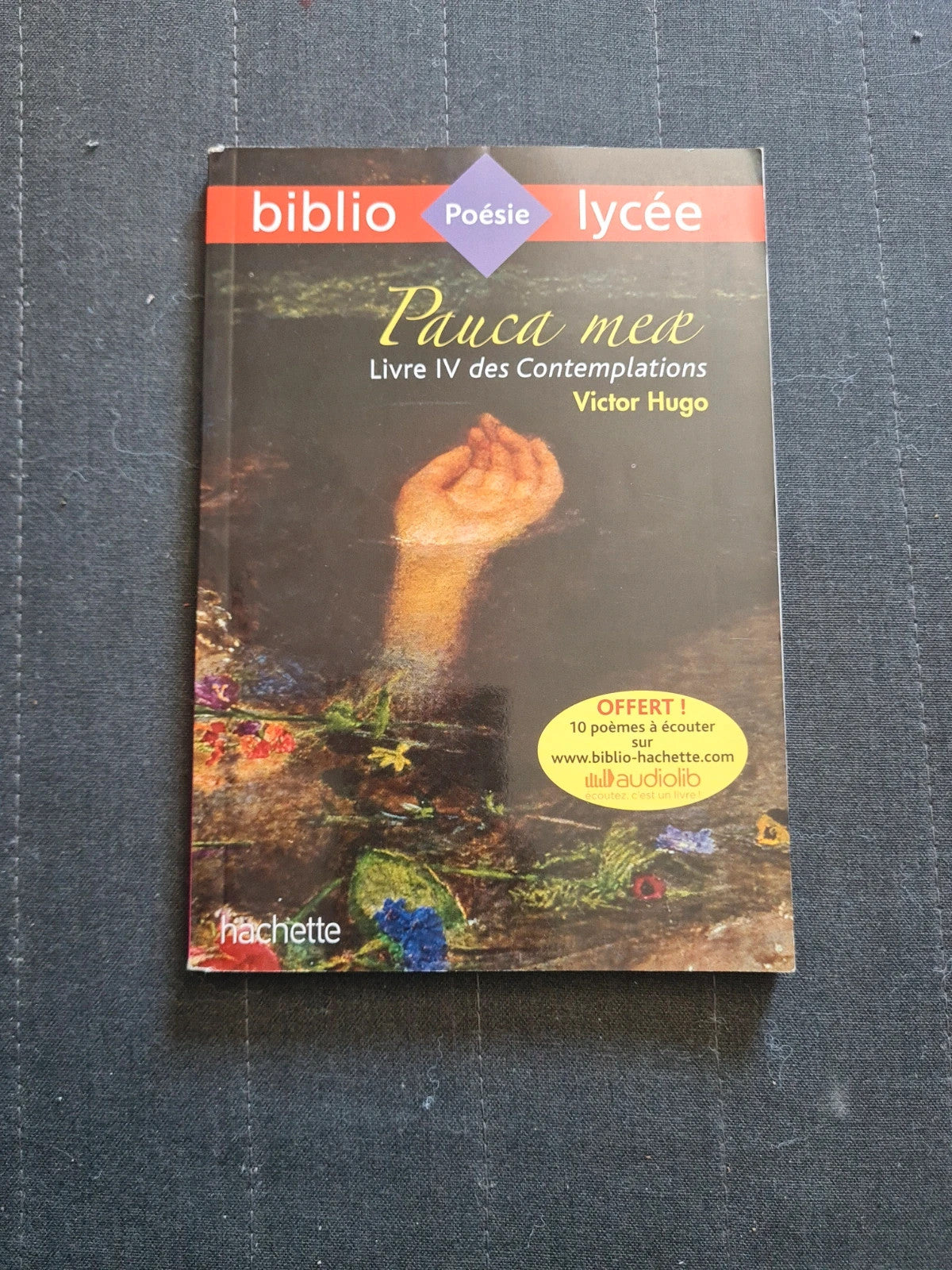 Pauca Meae Livre Iv Des Contemplations - Victor Hugo - Bibliolycée 73