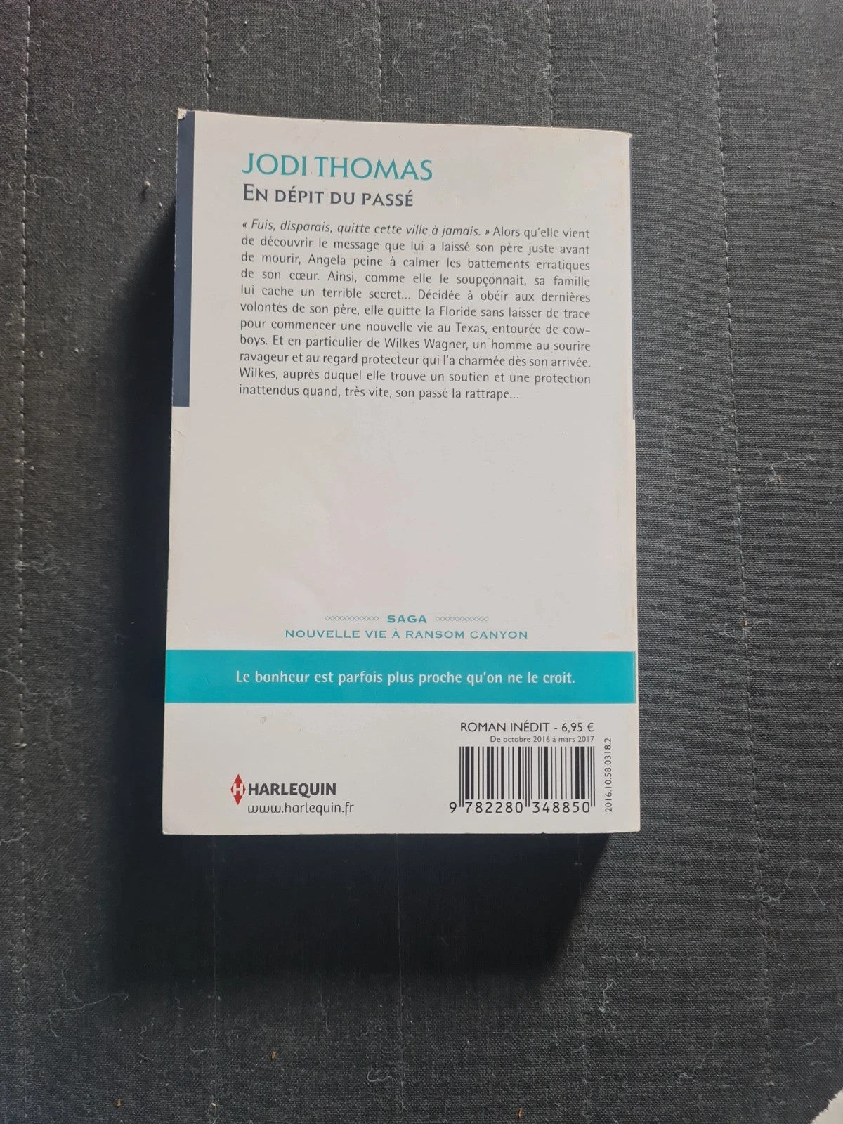 Gebraucht – Trotz der Vergangenheit - Neues Leben in Ransom Canyon – Jodi Thomas